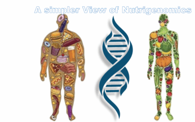 Rethinking Detox: Harnessing Nutrigenomics for Resilience